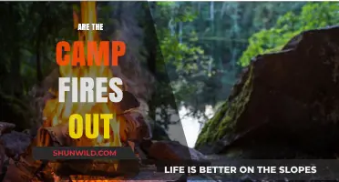 Are the Campfires Out? Safety Tips and Fire Prevention Strategies