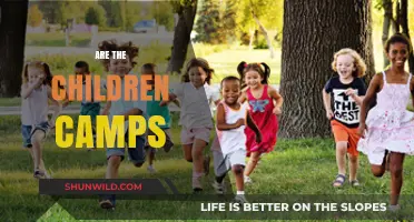 Exploring the Benefits and Safety of Children's Summer Camps