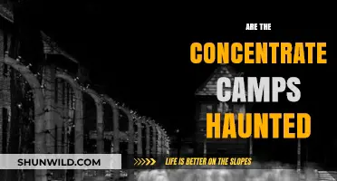 Are Concentration Camps Haunted? Exploring the Eerie Legacy of Tragedy