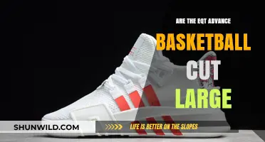 EQT Advance: A Roomy Basketball Shoe?
