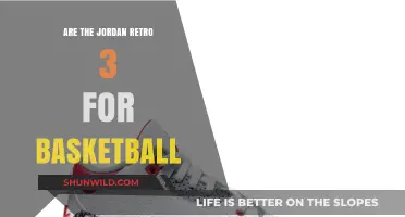 Retro 3 Jordans: Basketball Performance Review