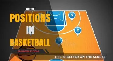 Understanding Basketball Positions: Roles and Responsibilities