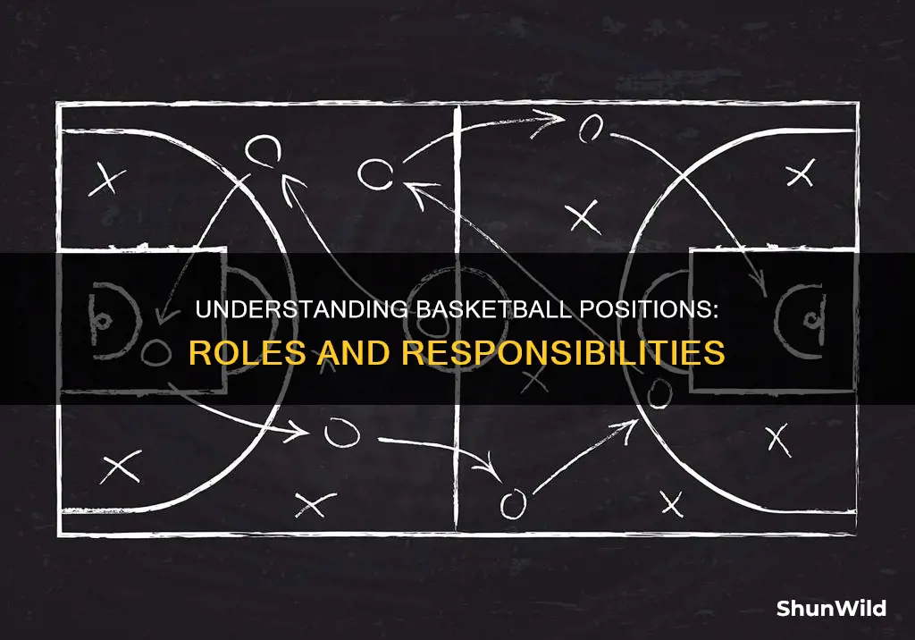 are the positions in basketball