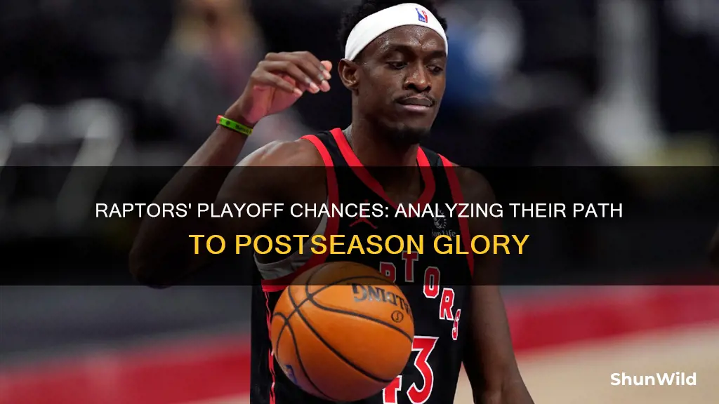 are the raptors in the basketball playoffs