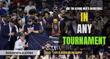 UConn Men's Basketball: Tournament Contenders or Pretenders?