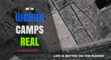 Unveiling the Truth: Are the Uyghur Detention Camps Real?