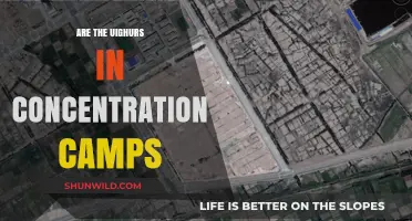 Unveiling the Truth: Uighur Detention Camps in Xinjiang, China