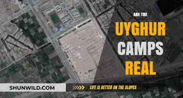 Uyghur Camps: Uncovering the Truth Behind China's Detention Facilities