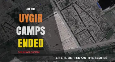 Uyghur Camps: Have China's Detention Centers Truly Ended?