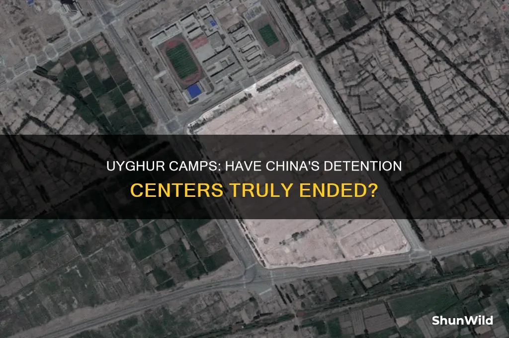 are the uygir camps ended