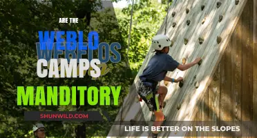 Are Weblo Camps Mandatory? Understanding Requirements and Participation Options