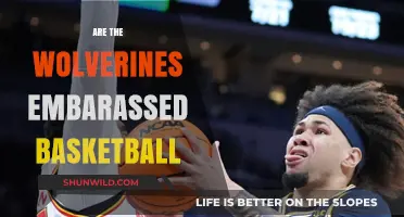 Wolverines' Basketball: An Embarrassing Performance