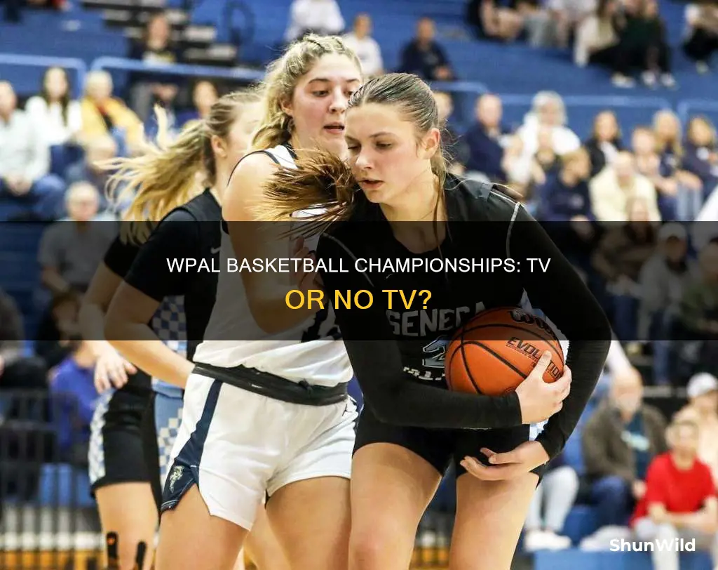 are the wpial basketball championships on tv