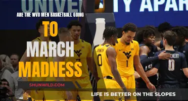 WVU Men's Basketball: March Madness Contenders?