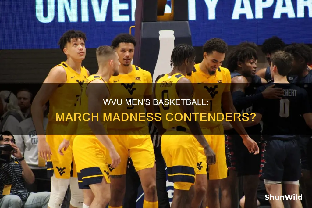 are the wvu men basketball going to march madness