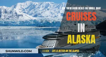 Finding Affordable Small Boat Cruises in Alaska