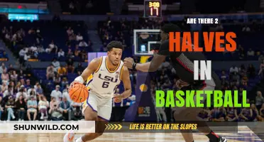 Basketball Halves: Understanding the Game Structure