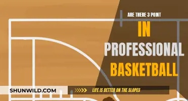 The Evolution of Professional Basketball: 3-Pointers and Beyond