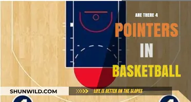 Basketball's 4-Pointers: A Reality or Fantasy?