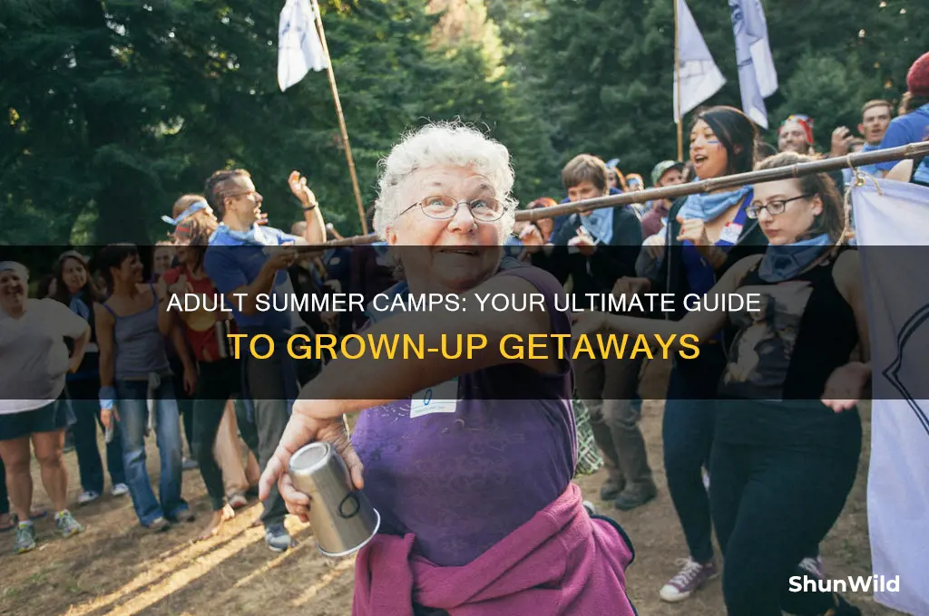 are there adult summer camps