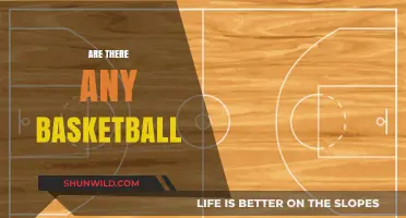 The Basketball Conundrum: Are There Any Left?