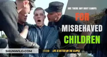 Boot Camps for Troubled Youth: Effective Solutions for Misbehavior?