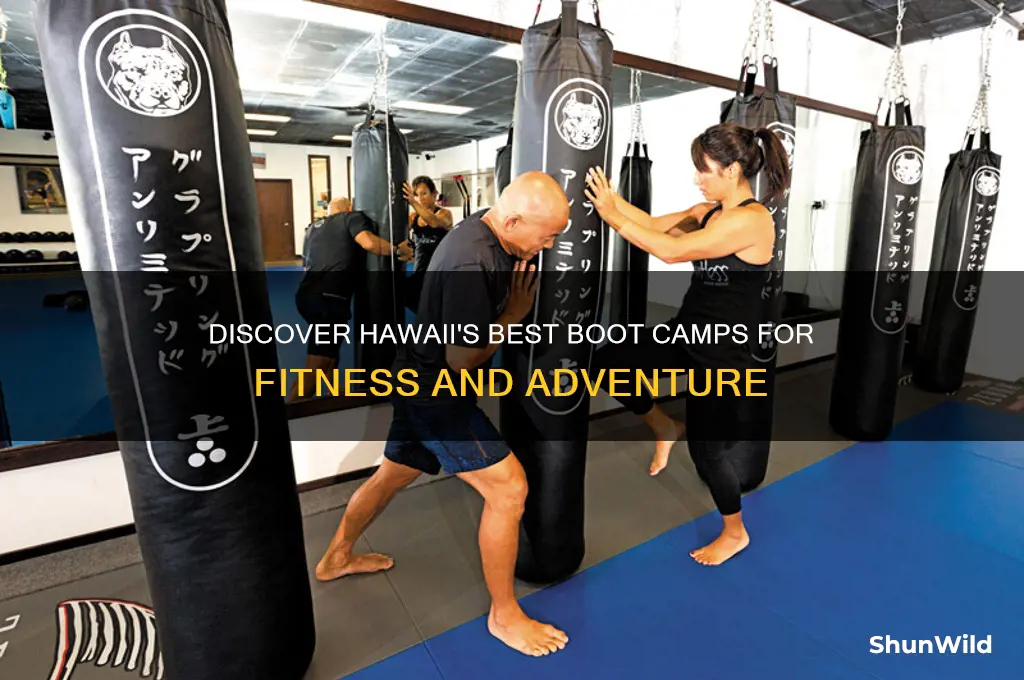 are there any boot camps on hawaii