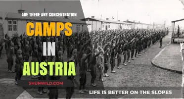 Concentration Camps in Austria: Historical Facts and Modern Perspectives