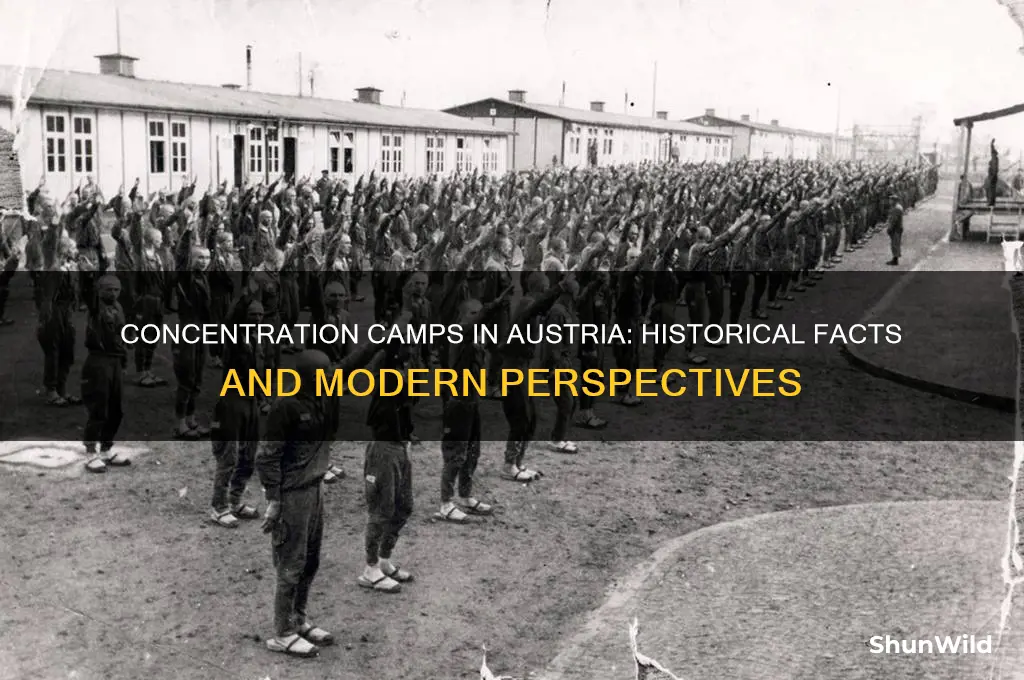 are there any concentration camps in austria