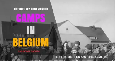 Belgium's Dark History: Investigating Claims of Concentration Camps