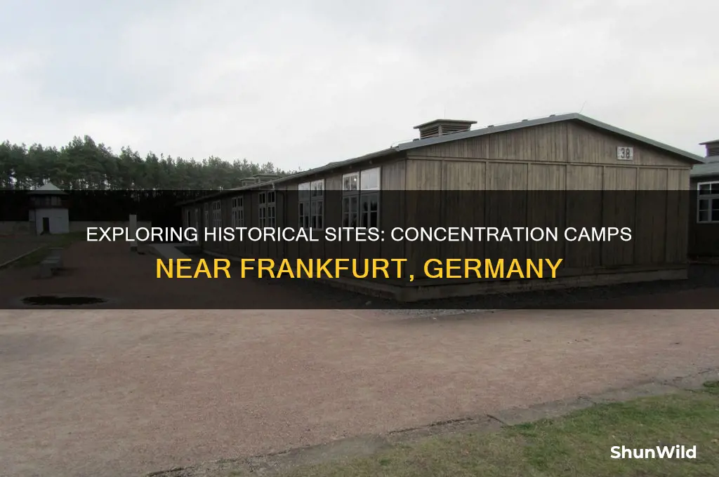 are there any concentration camps near frankfurt