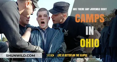 Exploring Juvenile Boot Camps in Ohio: Availability and Options