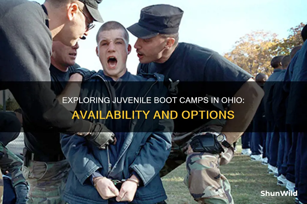 are there any juvenile boot camps in ohio
