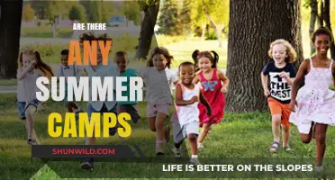 Discover Exciting Summer Camps for Kids Near You This Year