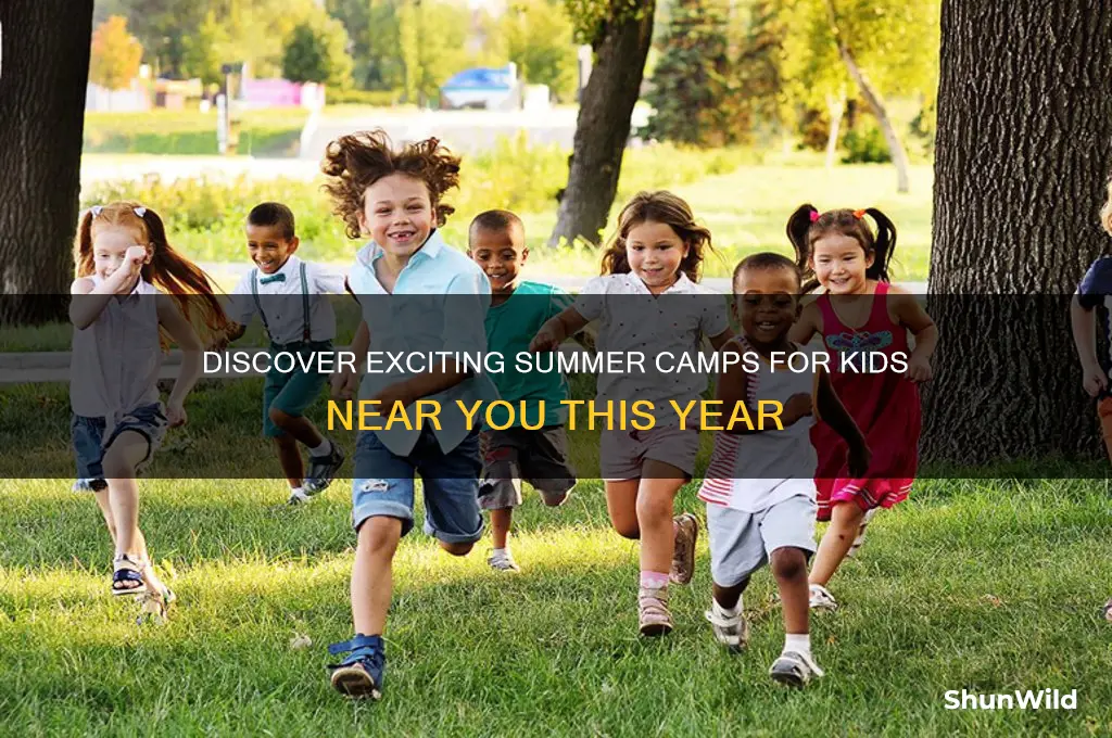 are there any summer camps