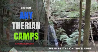 Exploring Therian Communities: Do Camps Exist for Therians?