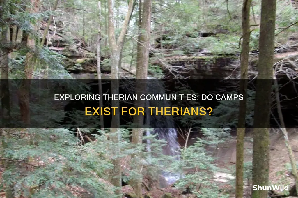 are there any therian camps