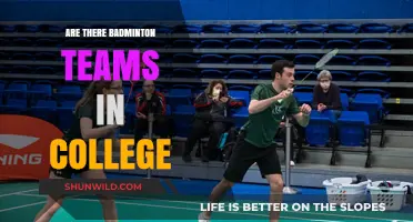 Badminton Teams: College Level Play