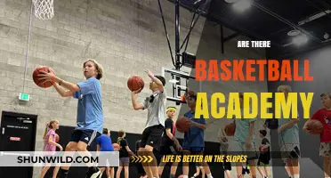 Basketball Academies: Where Dreams Begin