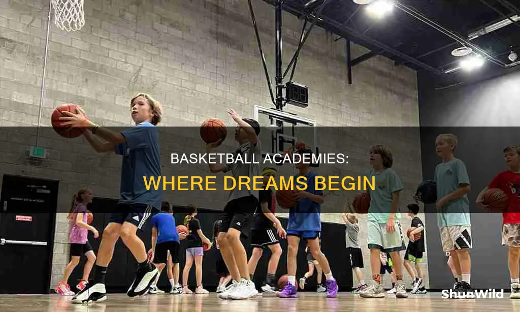are there basketball academy
