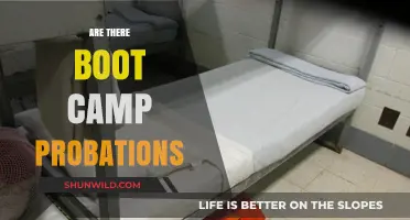 Understanding Boot Camp Probation: Rules, Violations, and Consequences Explained
