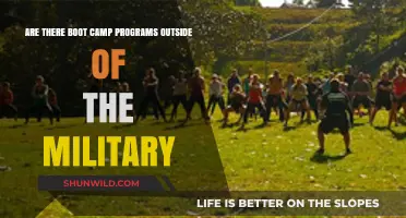 Exploring Non-Military Boot Camps: Fitness, Tech, and Career Options