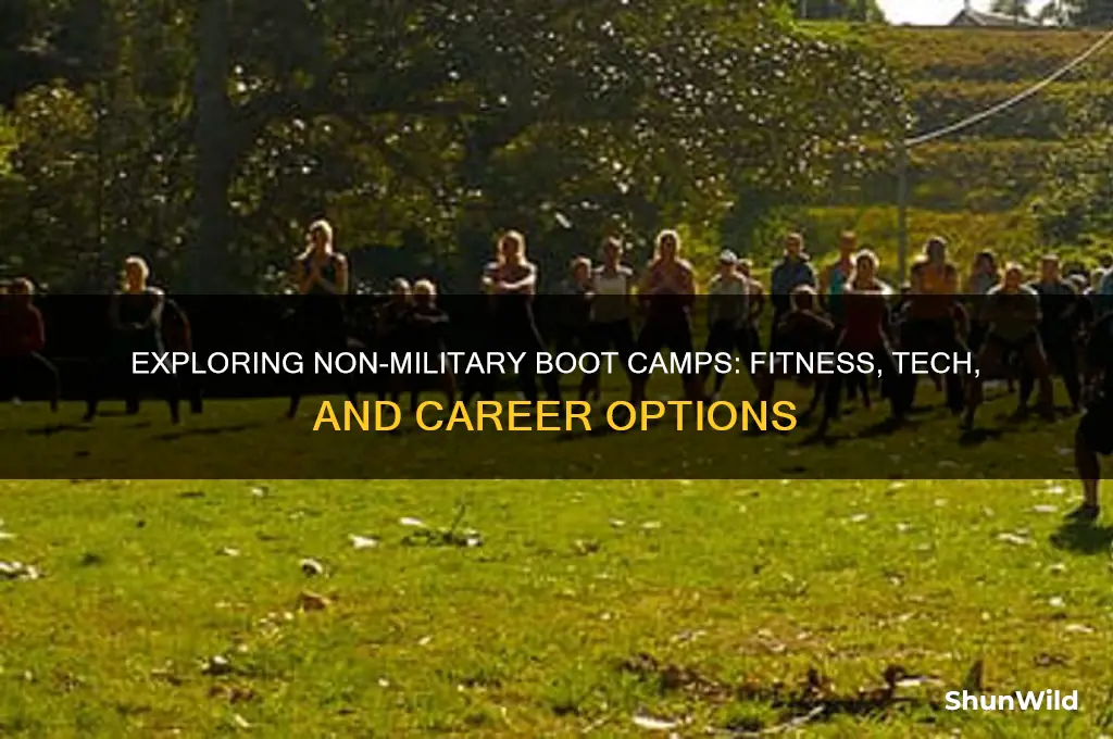 are there boot camp programs outside of the military