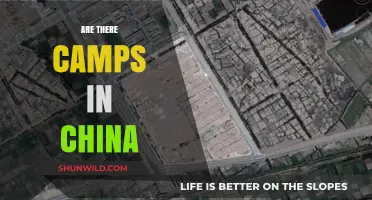 Unveiling the Truth: Camps in China and Their Impact