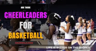 Cheerleaders: Basketball's Dynamic Duo Partners