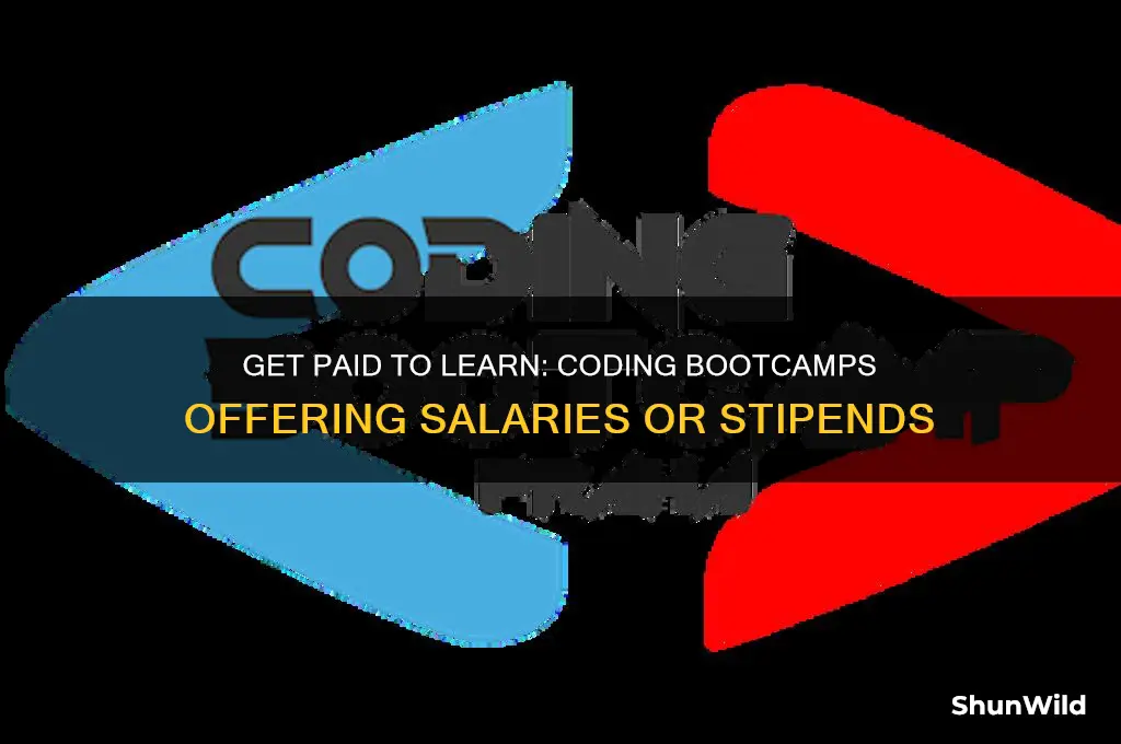 are there coding boot camps that pay you