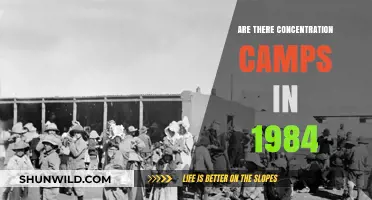 Concentration Camps in 1984: Fact or Fiction in Orwell's Dystopia