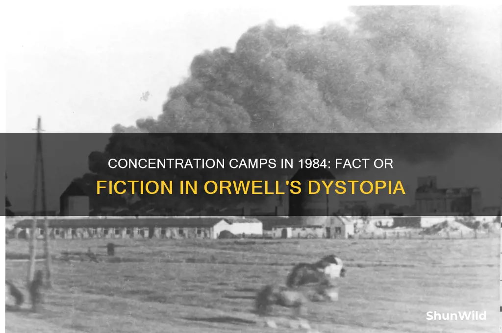are there concentration camps in 1984
