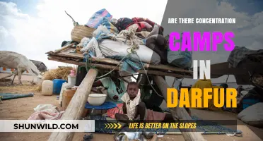 Darfur's Dark Reality: Uncovering the Truth About Alleged Concentration Camps