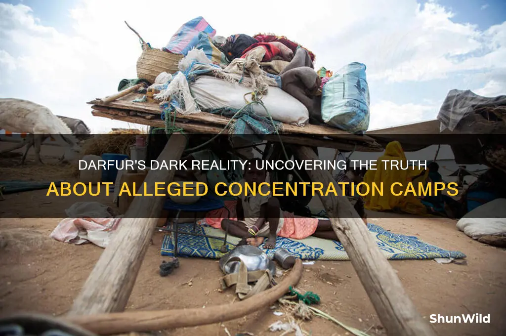 are there concentration camps in darfur